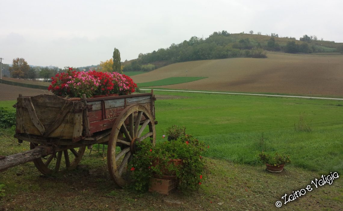 colline monferrato