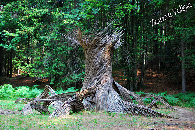 il respiro degli alberi