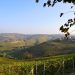 panorama langhe