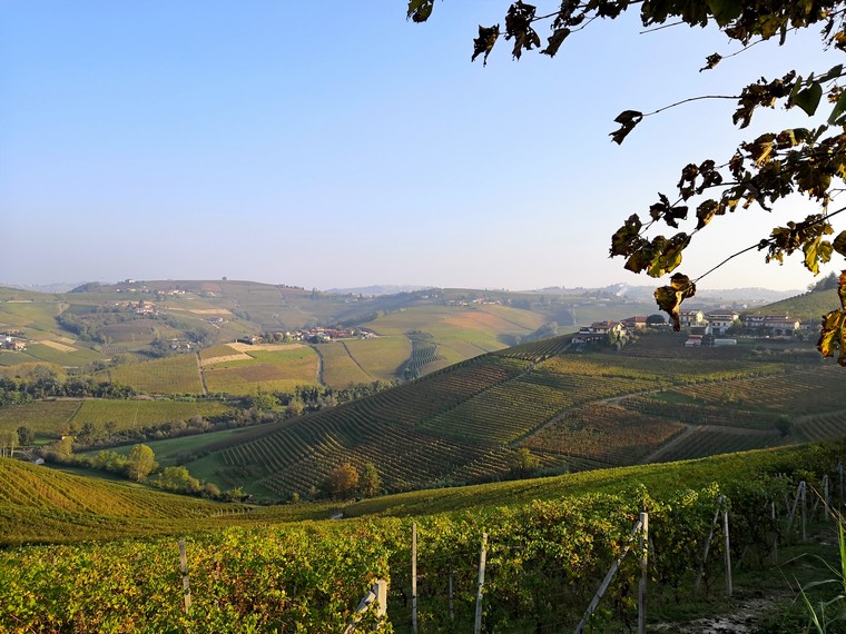 panorama langhe